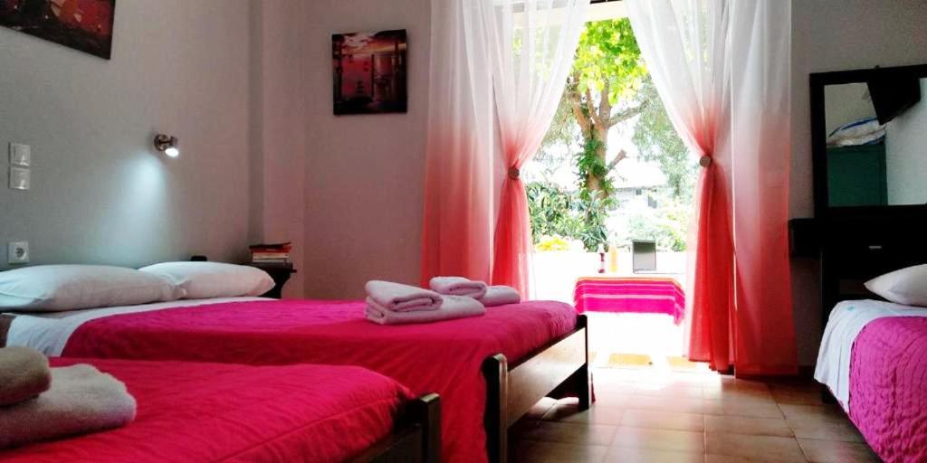 Kuris Studios & Apartments Vasilikí Dış mekan fotoğraf