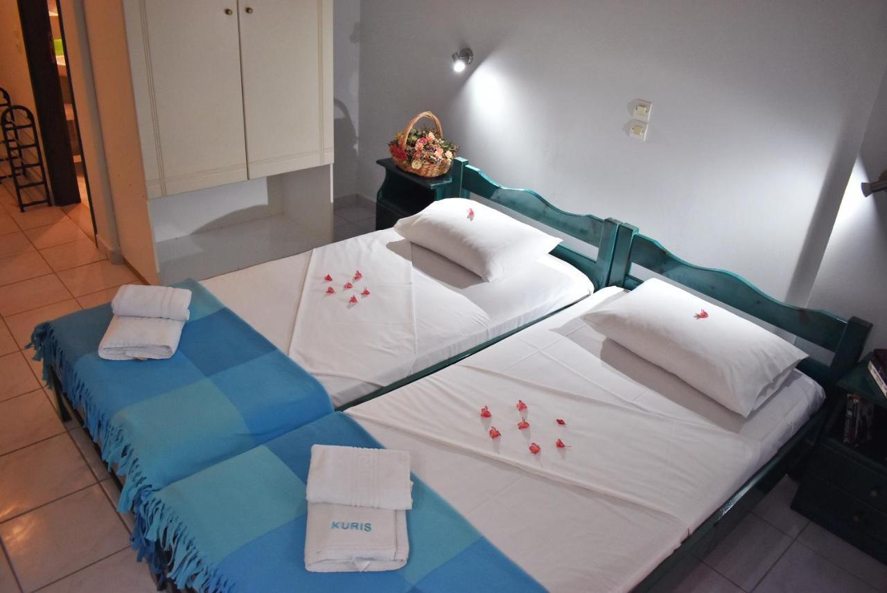 Kuris Studios & Apartments Vasilikí Dış mekan fotoğraf