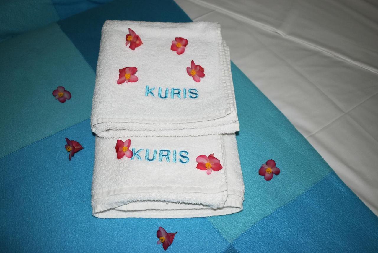 Kuris Studios & Apartments Vasilikí Dış mekan fotoğraf