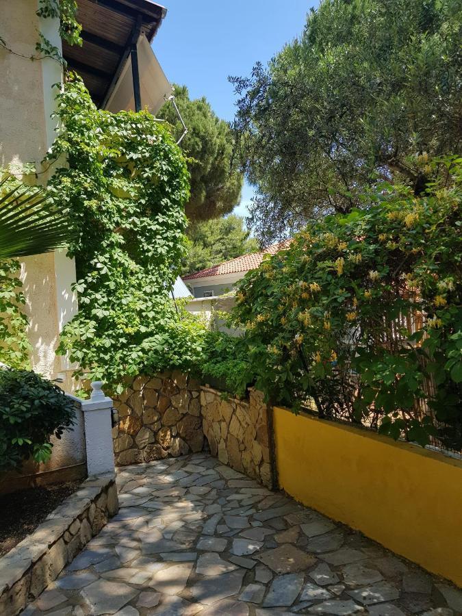 Kuris Studios & Apartments Vasilikí Dış mekan fotoğraf