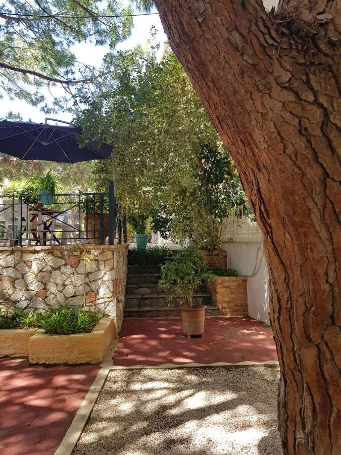 Kuris Studios & Apartments Vasilikí Dış mekan fotoğraf