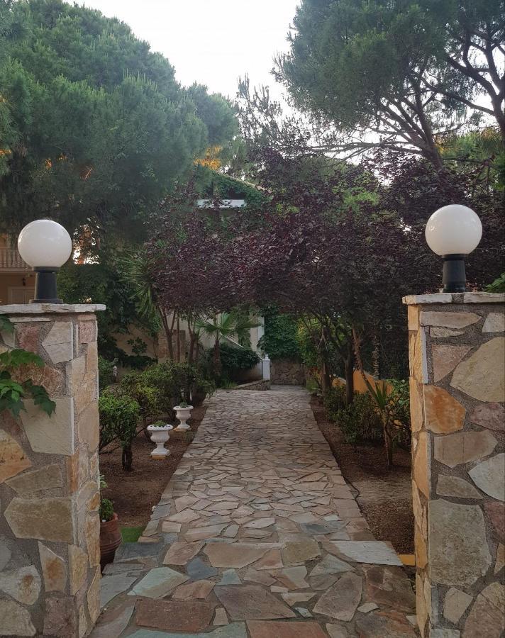 Kuris Studios & Apartments Vasilikí Dış mekan fotoğraf