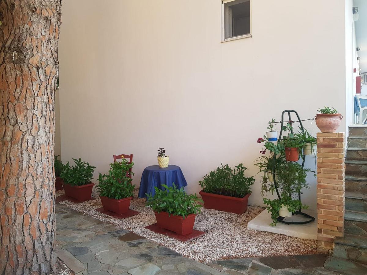 Kuris Studios & Apartments Vasilikí Dış mekan fotoğraf